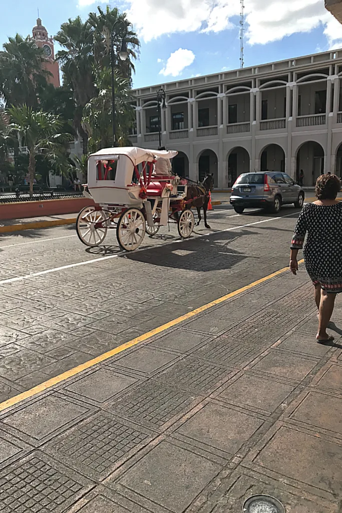 Horse carriage tours in Merida, Mexico - capital of the Yucatan.