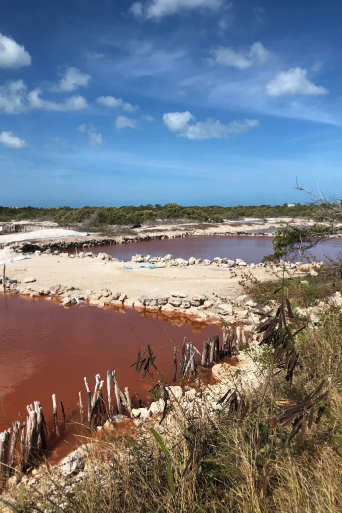 Xtampu salt flats (or pink lakes) close to Progreso, Mexico